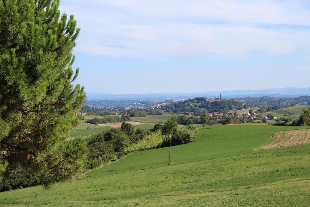Azienda Agricola Garoglio Davide Alfiano Natta Luaran gambar